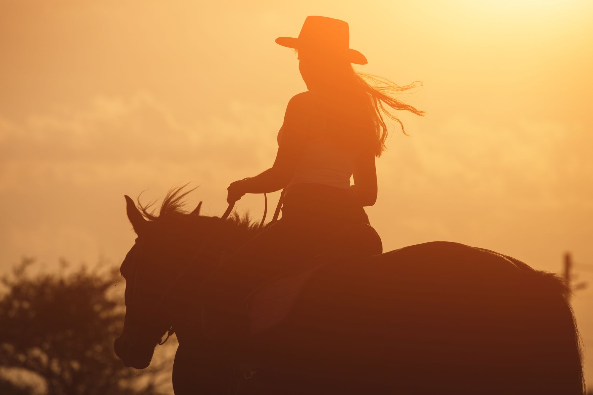 https://slite.com/api/files/6GciADzh5N37Oq/AdobeStock_173793444.jpeg https://slite.com/api/files/6GciADzh5N37Oq/AdobeStock_173793444.jpeg